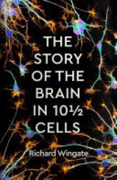 book The Story of the Brain in 101⁄2 Cells