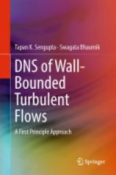 book DNS of Wall-Bounded Turbulent Flows: A First Principle Approach