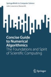 book Concise Guide to Numerical Algorithmics: The Foundations and Spirit of Scientific Computing