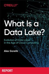 book What Is a Data Lake?