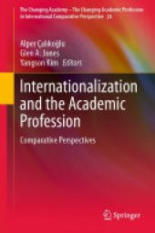 book Internationalization and the Academic Profession: Comparative Perspectives