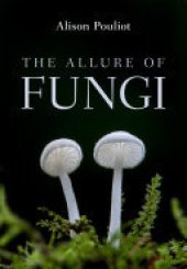 book The Allure of Fungi