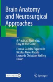 book Brain Anatomy and Neurosurgical Approaches: A Practical, Illustrated, Easy-to-Use Guide