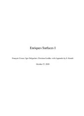 book Enriques Surfaces I