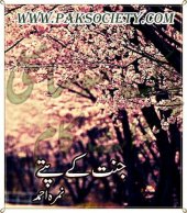 book جنت کے پتے / Jannat Kay Pattay