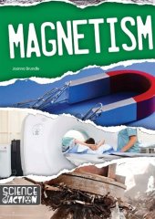 book Magnetism