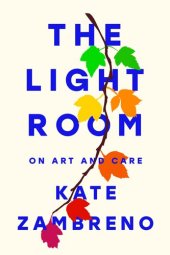 book The Light Room