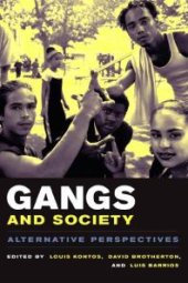 book Gangs and Society : Alternative Perspectives