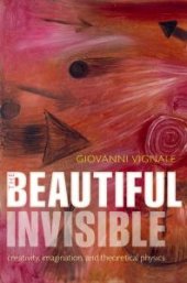 book The Beautiful Invisible : Creativity, Imagination, and Theoretical Physics