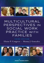 book Multicultural Perspectives in Social Work Practice with Families