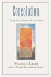 book Consolation : The Spiritual Journey Beyond Grief