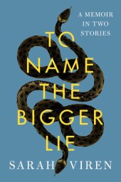 book To Name the Bigger Lie: A Memoir in Two Stories