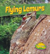 book Flying Lemurs