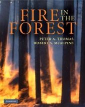 book Fire in the Forest