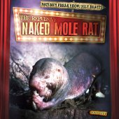 book The Repulsive Naked Mole Rat