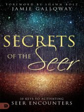 book Secrets of the Seer: 10 Keys to Activating Seer Encounters