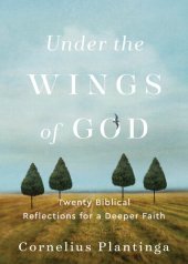 book Under the Wings of God: Twenty Biblical Reflections for a Deeper Faith