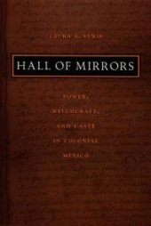 book Hall of Mirrors : Power, Witchcraft, and Caste in Colonial Mexico