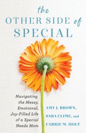 book The Other Side of Special: Navigating the Messy, Emotional, Joy-Filled Life of a Special Needs Mom