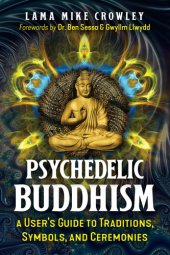 book Psychedelic Buddhism: A User's Guide to Traditions, Symbols, and Ceremonies