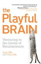 book The Playful Brain: Venturing to the Limits of Neuroscience