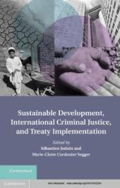 book Sustainable Development, International Criminal Justice, and Treaty Implementation