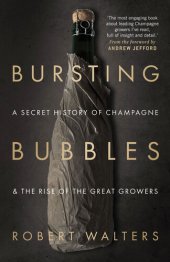 book Bursting Bubbles: A Secret History of Champagne and the Rise of the Great Growers