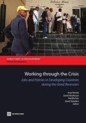 book Working through the Crisis : Jobs and Policies in Developing Countries during the Great Recession