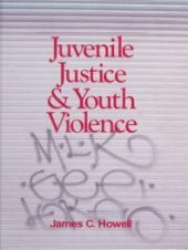 book Juvenile Justice and Youth Violence