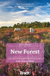 book New Forest: Local, characterful guides to Britain’s special places