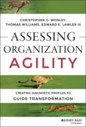 book Assessing Organization Agility : Creating Diagnostic Profiles to Guide Transformation