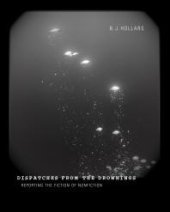 book Dispatches from the Drownings : Reporting the Fiction of Nonfiction