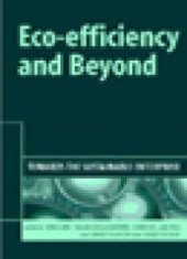 book Eco-Efficiency and Beyond : Towards the Sustainable Enterprise