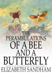 book The Perambulations of a Bee and a Butterfly : In Which Are Delineated Those Smaller Traits of Character Which Escape the Observation of Larger Spectators