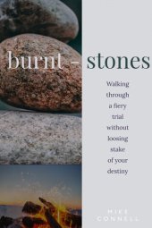 book Burnt Stones