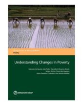 book Understanding Changes in Poverty