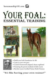 book Your Foal: Essential Training