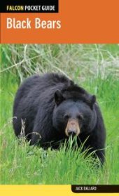 book Black Bears