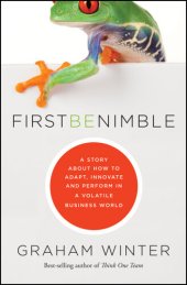 book First Be Nimble: A Story About How to Adapt, Innovate and Perform in a Volatile Business World