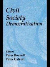 book Civil Society in Democratization