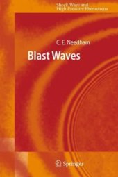 book Blast Waves 