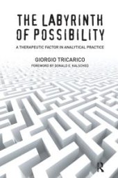 book The Labyrinth of Possibility : A Therapeutic Factor in Analytical Practice