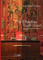 book The Effective Youth Court : Juvenile Justice Procedures in Europe