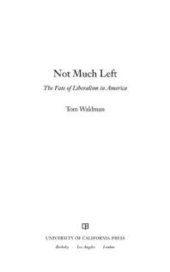 book Not Much Left : The Fate of Liberalism in America