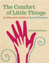 book The Comfort of Little Things : An Educator's Guide to Second Chances