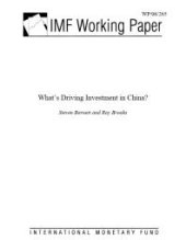 book What's Driving Investment in China?