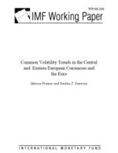 book Common Volatility Trends in the Central and Eastern European Currencies and the Euro