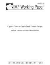 book Capital Flows to Central and Eastern Europe