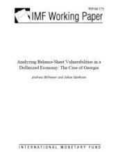 book Analyzing Balance Sheet Vulnerabilities in a Dollarized Economy - The Case of Georgia