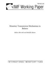 book Monetary Transmission Mechanisms in Belarus